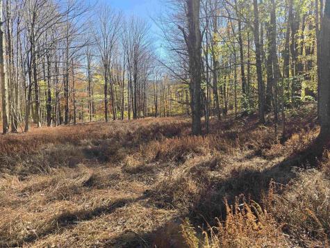 53 Bobcat Road Davis WV 26260