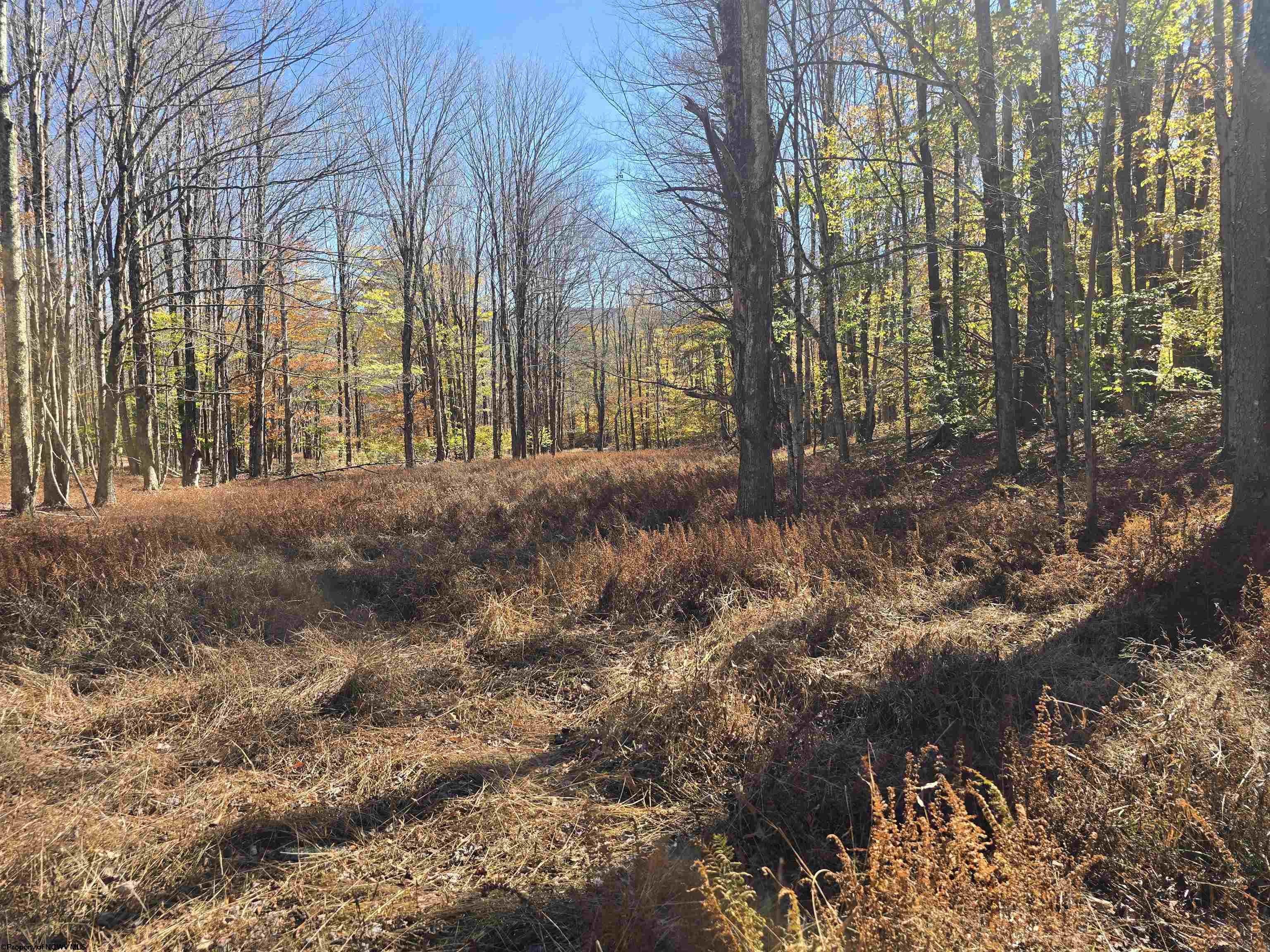 53 Bobcat Road Davis WV 26260