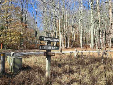 53 Bobcat Road Davis WV 26260