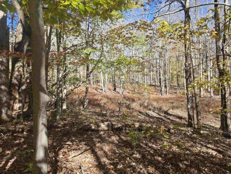 53 Bobcat Road Davis WV 26260