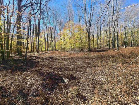 53 Bobcat Road Davis WV 26260