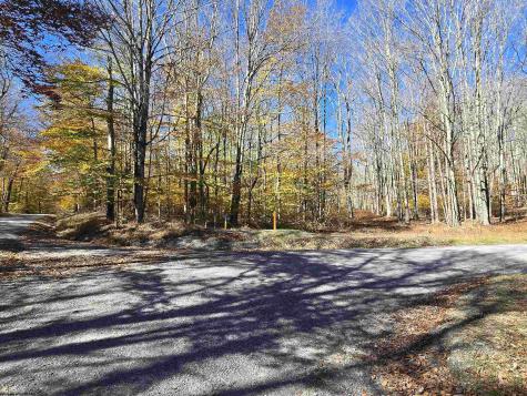 53 Bobcat Road Davis WV 26260