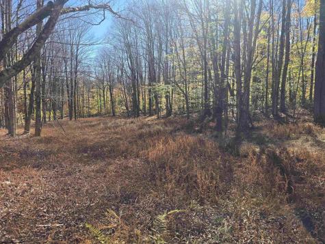 53 Bobcat Road Davis WV 26260