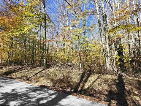 53 Bobcat Road Davis WV 26260