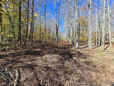 53 Bobcat Road Davis WV 26260