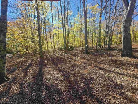 53 Bobcat Road Davis WV 26260