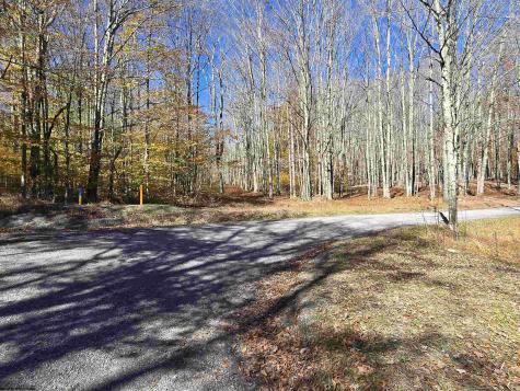 53 Bobcat Road Davis WV 26260