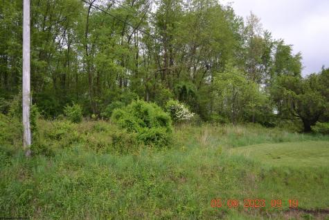 0 Lucas Dairy Road Grafton WV 26354