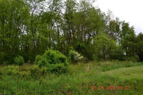 0 Lucas Dairy Road Grafton WV 26354