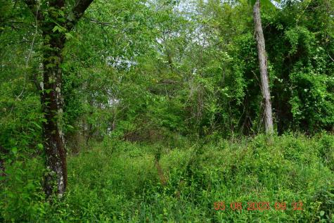 0 Lucas Dairy Road Grafton WV 26354