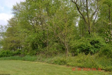 0 Lucas Dairy Road Grafton WV 26354