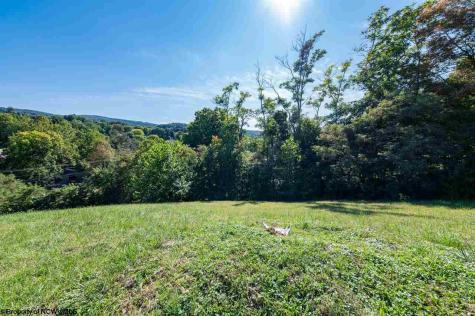 8 Brookdale Drive Morgantown WV 26508