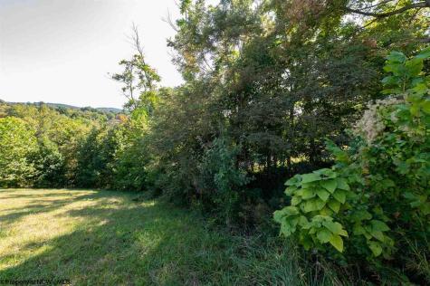 8 Brookdale Drive Morgantown WV 26508