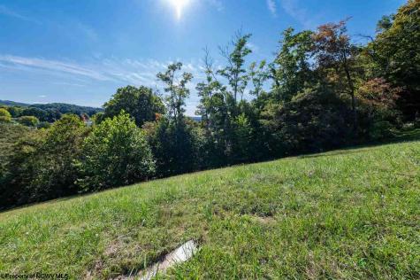 8 Brookdale Drive Morgantown WV 26508