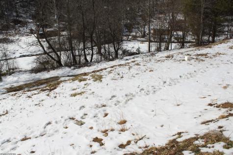 190 Coon Creek Road Camden On Gauley WV 26208