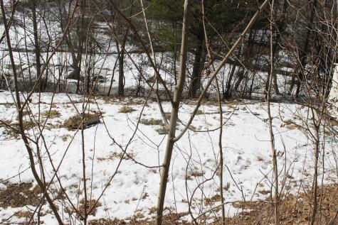 190 Coon Creek Road Camden On Gauley WV 26208