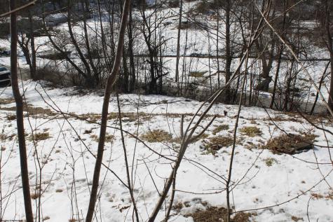 190 Coon Creek Road Camden On Gauley WV 26208