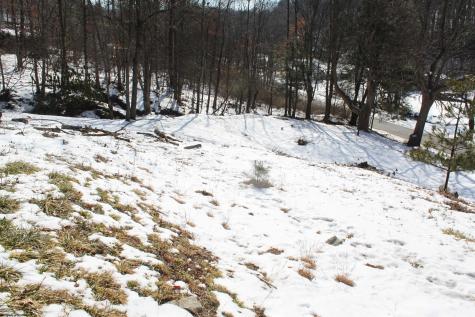 190 Coon Creek Road Camden On Gauley WV 26208