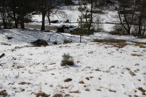 190 Coon Creek Road Camden On Gauley WV 26208