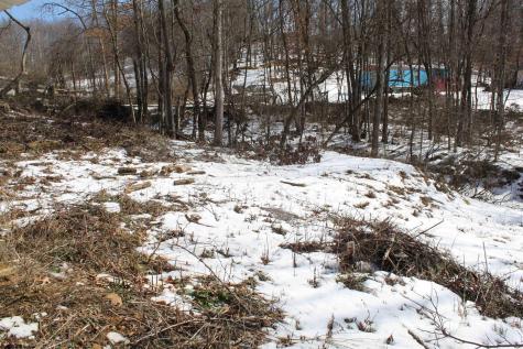 190 Coon Creek Road Camden On Gauley WV 26208