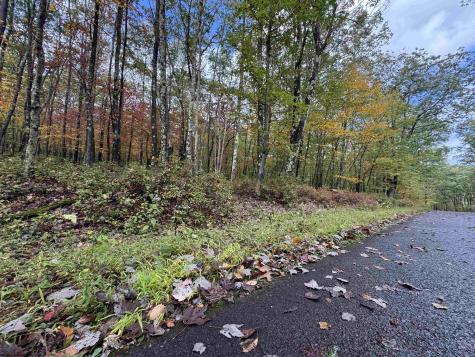 175 Aster Drive Terra Alta WV 26764