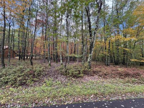 175 Aster Drive Terra Alta WV 26764