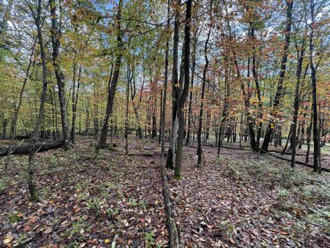 175 Aster Drive Terra Alta WV 26764