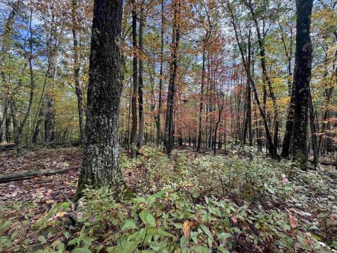 175 Aster Drive Terra Alta WV 26764