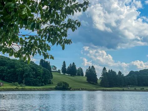 175 Aster Drive Terra Alta WV 26764