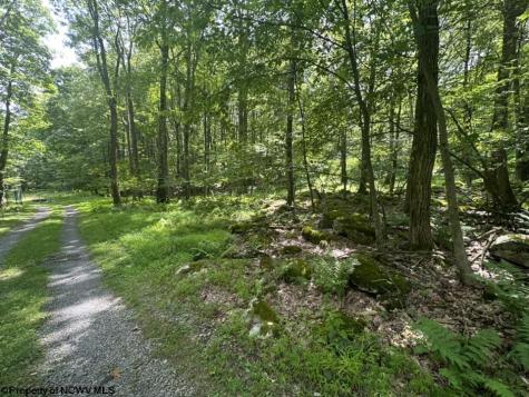 10 Aster Drive Terra Alta WV 26764