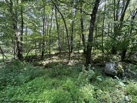 10 Aster Drive Terra Alta WV 26764