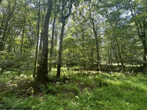 10 Aster Drive Terra Alta WV 26764