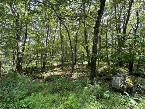 10 Aster Drive Terra Alta WV 26764