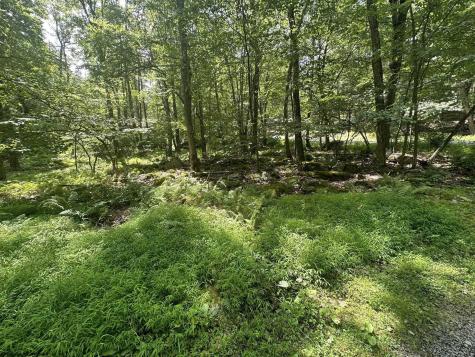 10 Aster Drive Terra Alta WV 26764