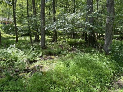 10 Aster Drive Terra Alta WV 26764