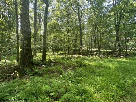 10 Aster Drive Terra Alta WV 26764