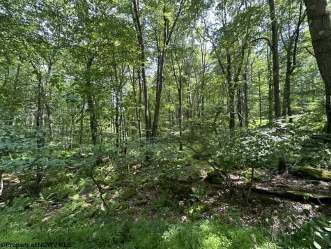 10 Aster Drive Terra Alta WV 26764