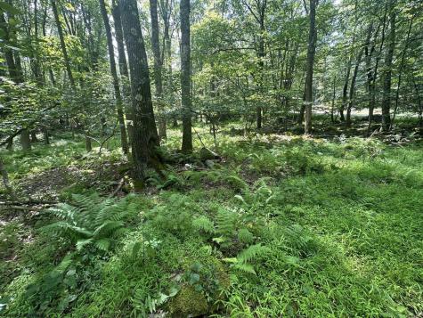 10 Aster Drive Terra Alta WV 26764