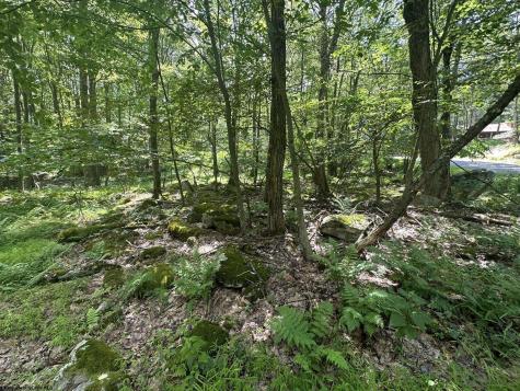 10 Aster Drive Terra Alta WV 26764