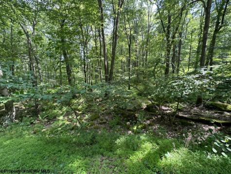 10 Aster Drive Terra Alta WV 26764