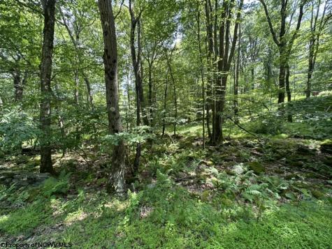 10 Aster Drive Terra Alta WV 26764