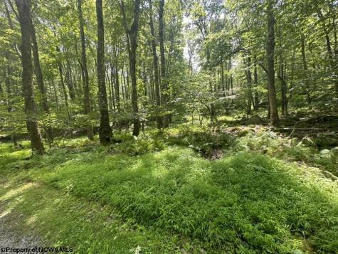 10 Aster Drive Terra Alta WV 26764