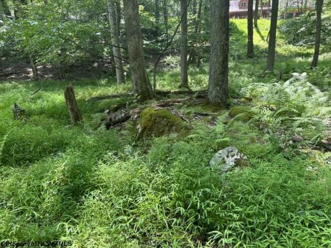 10 Aster Drive Terra Alta WV 26764