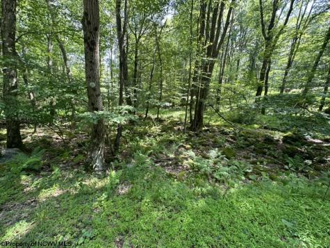 10 Aster Drive Terra Alta WV 26764