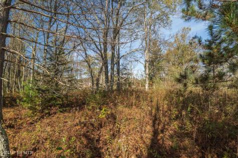 26 Cortland Road Davis WV 26260