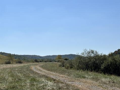 0 W Junior Road Junior WV 26275