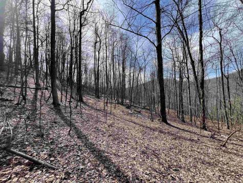 1251 County Highway 40-11 Road Duck WV 25063