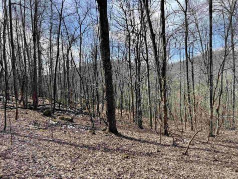 1251 County Highway 40-11 Road Duck WV 25063