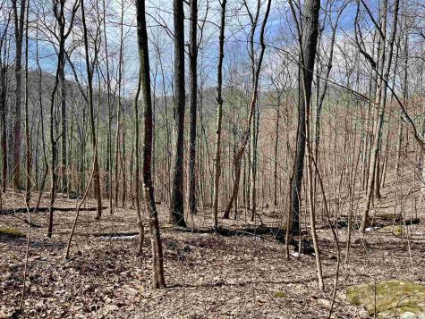 1251 County Highway 40-11 Road Duck WV 25063