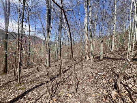 1251 County Highway 40-11 Road Duck WV 25063